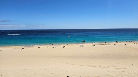 Peaceful beach scene in Fuerteventura where golden sands meet crystal-blue waves under a clear sky.