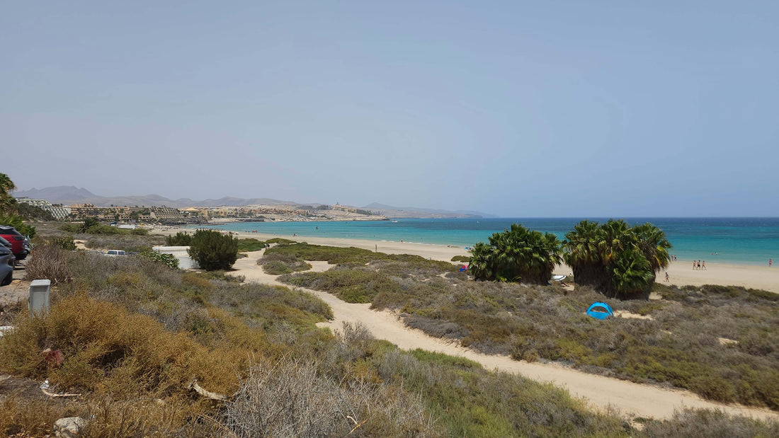 Learning to Surf in Fuerteventura: My Transformational Experience with OTRO MODO Surf School