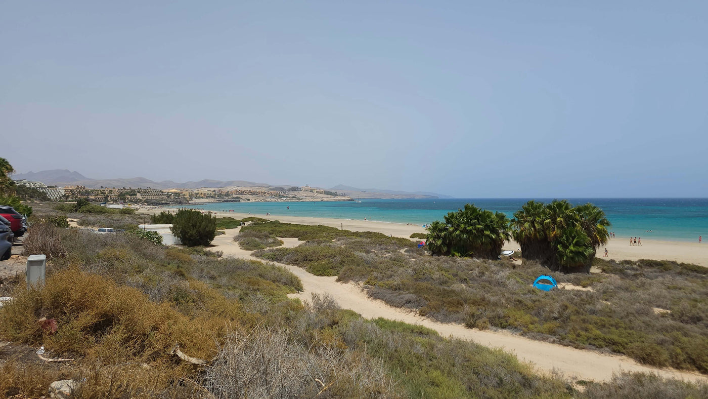 Learning to Surf in Fuerteventura: My Transformational Experience with OTRO MODO Surf School