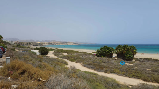 Learning to Surf in Fuerteventura: My Transformational Experience with OTRO MODO Surf School