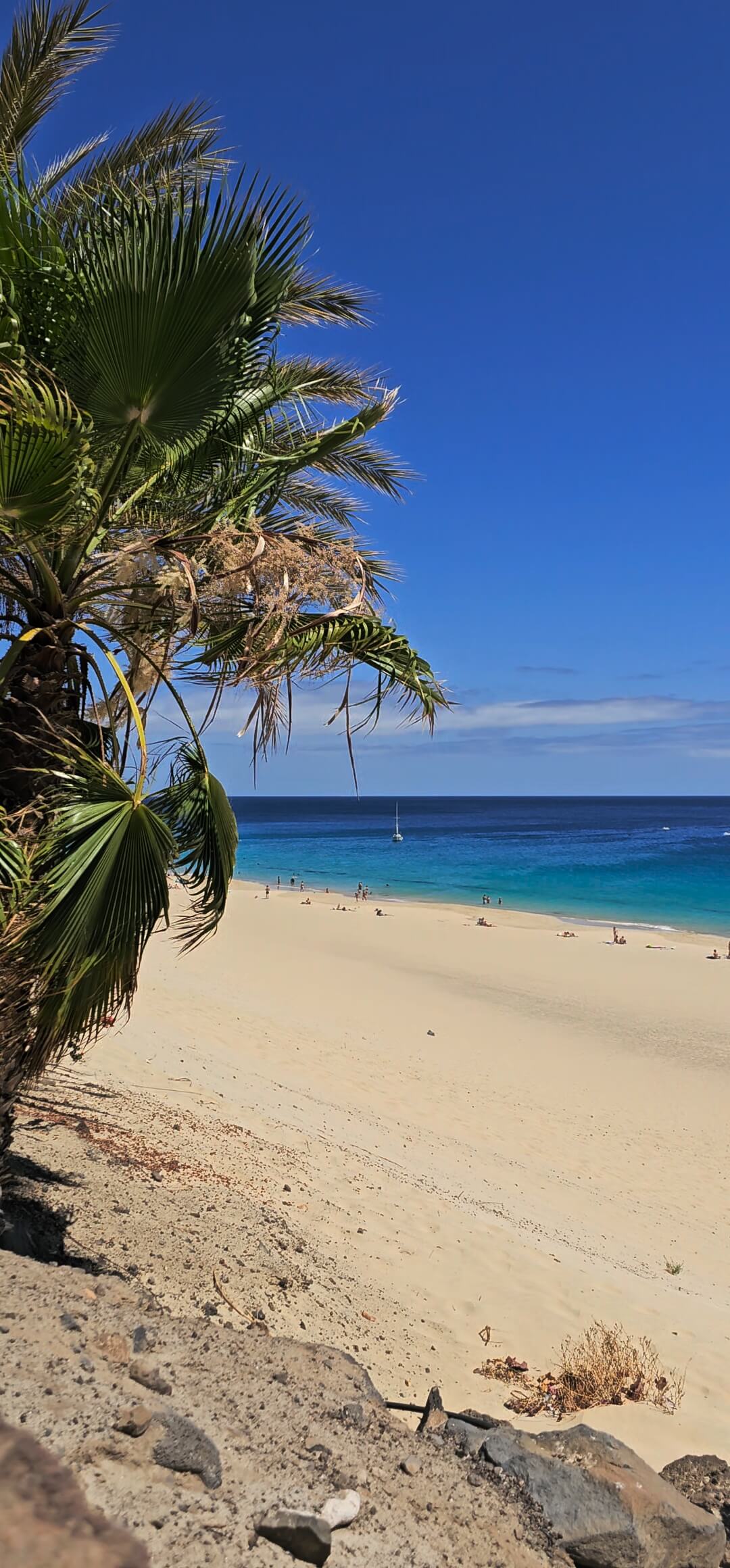 Find Yourself Where the World Softens